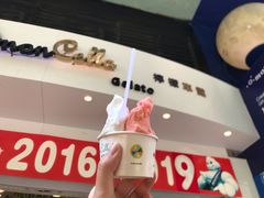-柠檬车露(卖草地店)