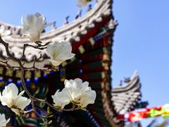 -西安市广仁寺