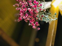 -新元素(三里屯太古里南区)