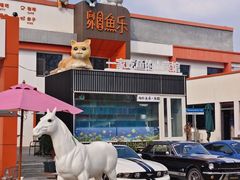 -向外鱼乐·土菜·虹鳟鱼