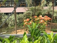 -无锡动物园·太湖欢乐园