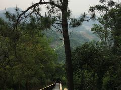 -田心森林公园