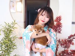 -柴犬小屋·柴餐厅·狗咖食堂(金鼎广场店)