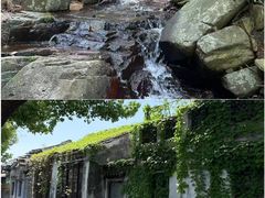 -莫干山风景区
