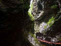 -牛背梁国家森林公园