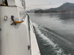 -千岛湖东南湖区