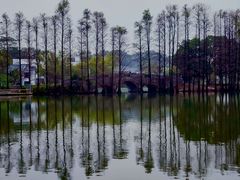 -中国科学院华南植物园