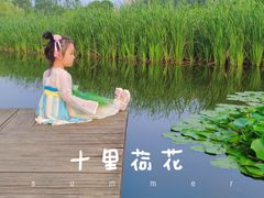 -前关湿地公园