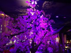 景观位-桂满陇-西湖船宴(西单大悦城店)