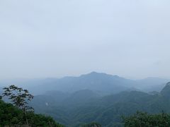 -六里坪国家森林公园