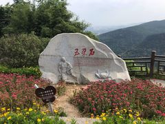 -铁山坪森林公园