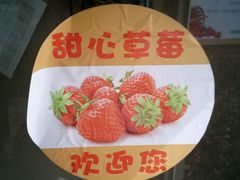 -甜心庄园·甜心草莓采摘园(西青中北店)