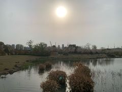-澹台湖公园