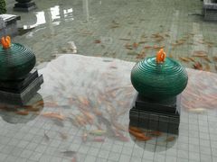 android_upload_pic-千岛湖品鱼馆(钓鱼岛店)