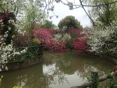 -南汇桃花村