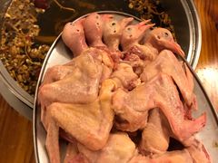 -百利鸽王(紫薇路店)