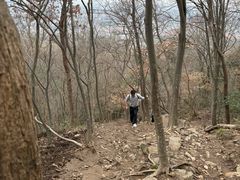 -紫金山天文台