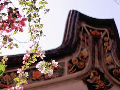 -深圳国际园林花卉博览园