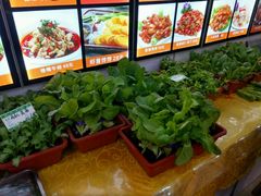 -正阳春烤鸭店(杨楼店)