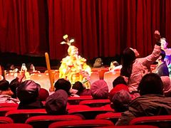 -水秀国际大剧院