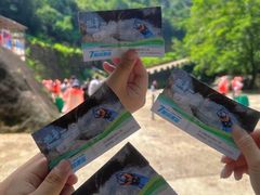 -雅鲁激流探险漂流