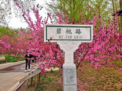 -石家庄市植物园