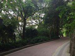 -金鸡山公园