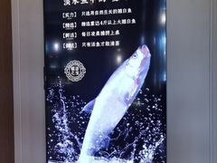 -忆江南·临江鱼馆