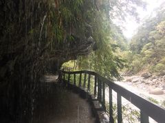 -太鲁阁公园