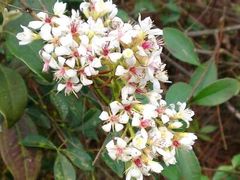 -西涌国际滨海旅游区