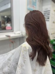 -镁连社·美联社