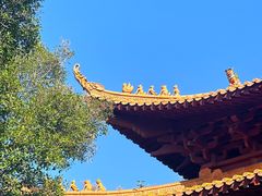 -深圳仙湖植物园