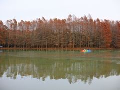 -上海海湾国家森林公园