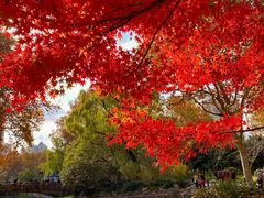 -长白岛森林公园