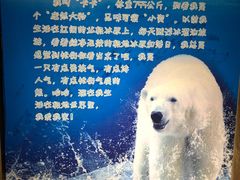 -大连圣亚海洋世界