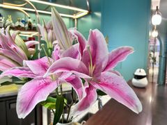 -南堂馆·新川菜(春熙路店)