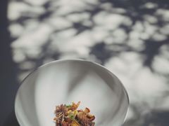 雨季野菌-曲廊院(东四十一条店)