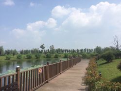 水八仙生态园-水八仙生态园