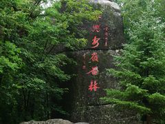 -汤旺河林海奇石景区