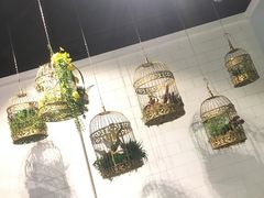-一笼小幸运