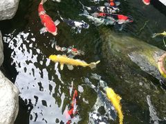 -贵阳高新惠诚食品有限公司