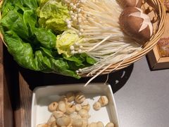 -同仁四季椰子鸡(无锡滨湖万象汇店)
