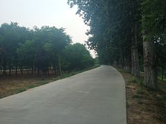 -东坝千亩湖公园