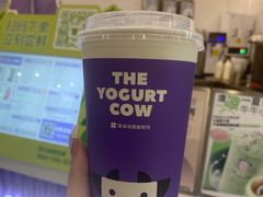 -一只酸奶牛(来福士店)
