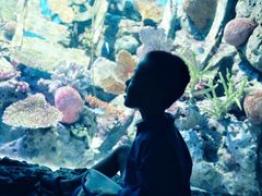 -暹罗海洋世界