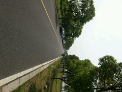android_upload_pic-漕湖湿地公园
