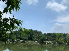 -铁山坪森林公园