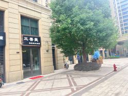 -三菩提科技美肤SPA