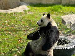 -上海野生动物园