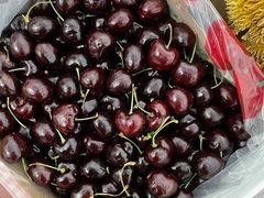 -红星农博物流中心